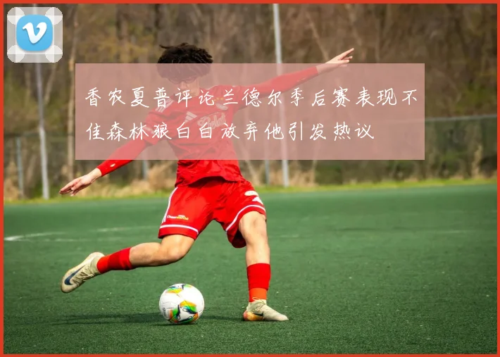 香农夏普评论兰德尔季后赛表现不佳森林狼白白放弃他引发热议